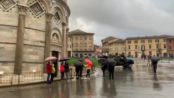 Pisa Olaszország Január 2020 Pisai Ferde Torony Heves Esőben Híres — Stock videók