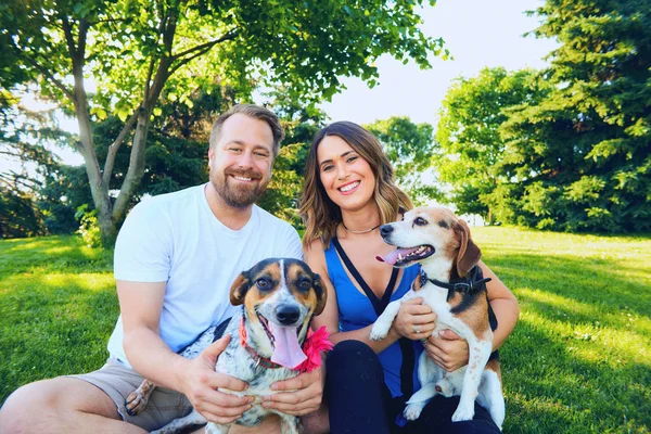 Portrait de jeune couple assis avec leurs chiens — Photo