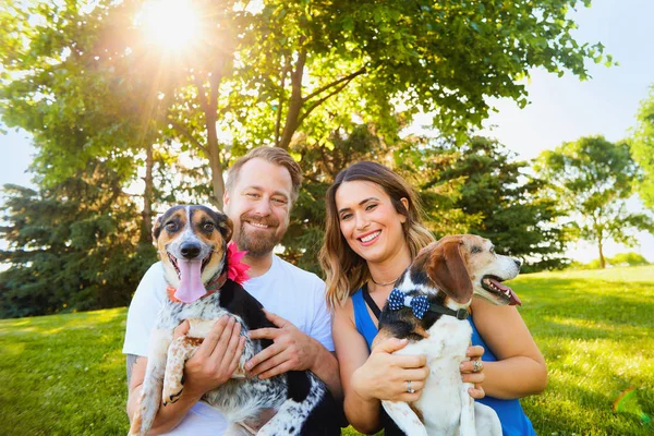 Erkek ve dişi köpekler ile mutlu Romantik Çift — Stok fotoğraf