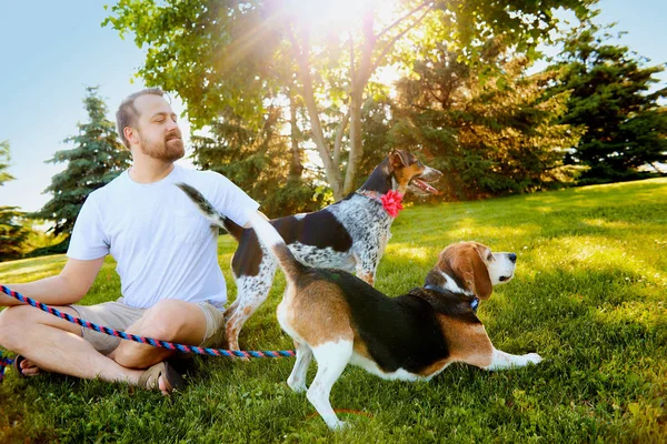 Lächelnder Mann hält Hunde im Sommer an der Leine — Stockfoto