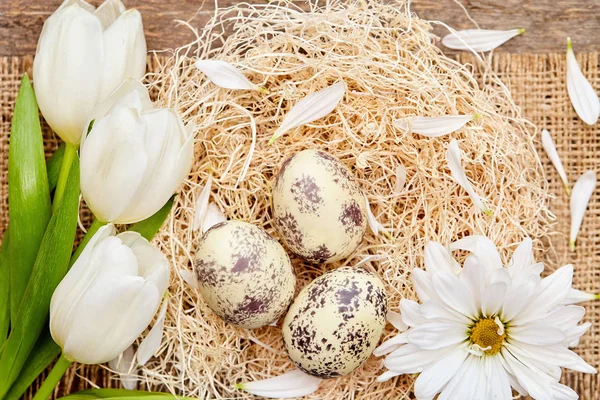 Easter nest with quail eggs and white flowers