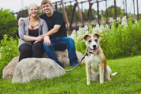 Mutlu çift arka planda nefes nefese terrier — Stok fotoğraf