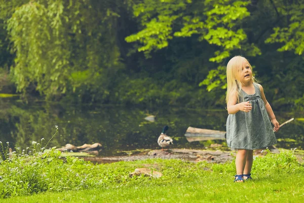 Curious little girl walking at pond in summer — Stock Photo, Image