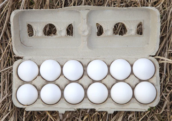 Dozen egg in carton box