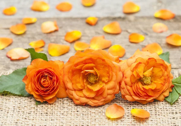 Drie oranje rozen op tafel — Stockfoto