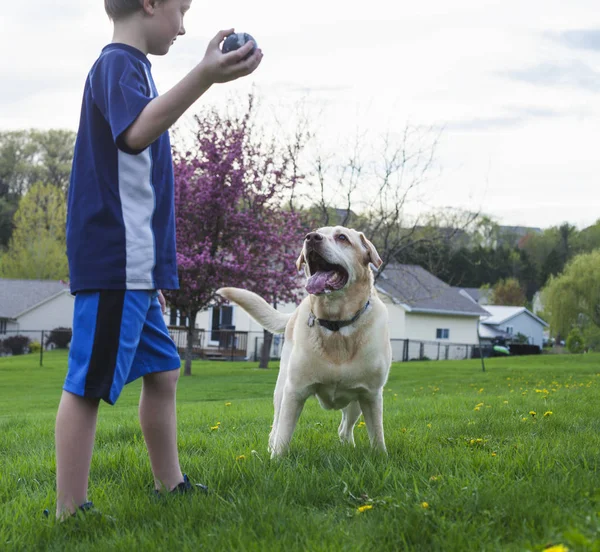 Garçon jouer avec son chien à l'extérieur — Photo