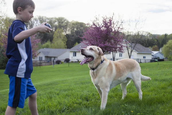 Garçon jouer avec son chien à l'extérieur — Photo