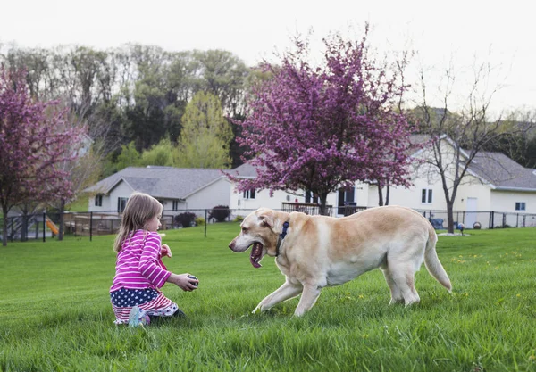 Petite fille jouant avec son chien dehors — Photo