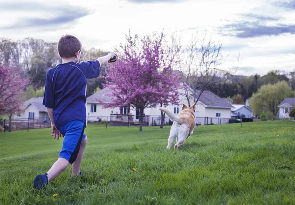 Garçon jouer avec son chien à l'extérieur — Photo