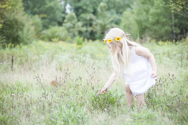 Portrait Little Girl Picking Flowers Summer Fields Kid Wearing White — Stock Photo, Image