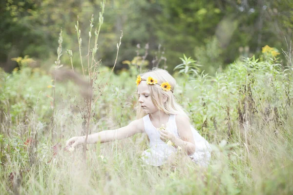 Сконцентрированный Маленький Ребенок Собирает Цветы Летом Портрет Девушки Белом Платье — стоковое фото