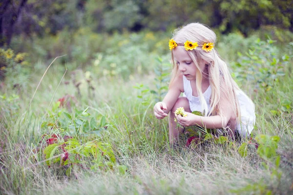 Nettes Kleines Mädchen Das Sommer Blumen Pflückt Porträt Eines Konzentrierten — Stockfoto