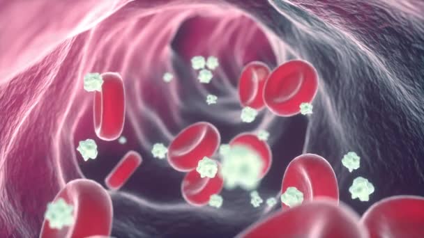 Bloedcellen stroom binnen slagader — Stockvideo