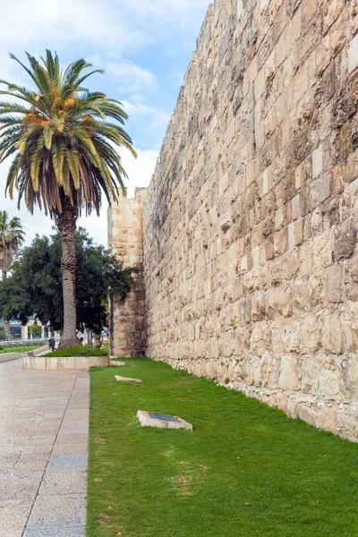 Väggar av Ancient City och palm tree, Jerusalem — Stockfoto