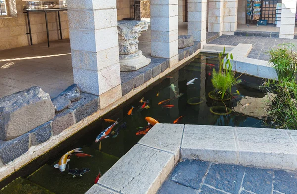 Koi Teich mit japanischen bunten Karpfen Fische — Stockfoto