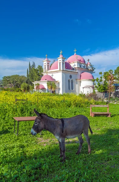 Orthodoxe Kirche und Senffeld in der Nähe des galiläischen Meeres — Stockfoto