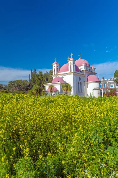 Ortodoxa kyrkan och senap fält nära Galileiska havet — Stockfoto