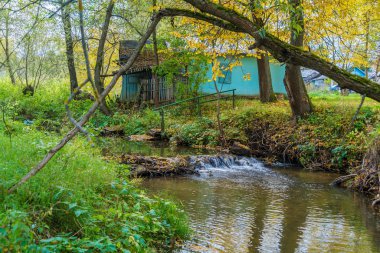Akan nehir ve yaprakları ile sonbahar manzara