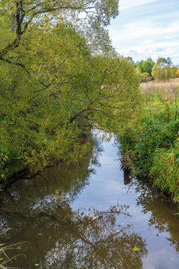 Bir nehir kıyısında bir ağlayan söğüt, yaz yatay