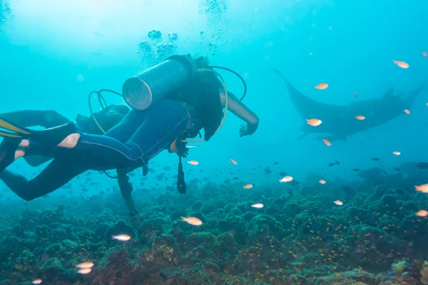 Unterwassertaucher beobachten die Mantas an einer Putzstation. — Stockfoto