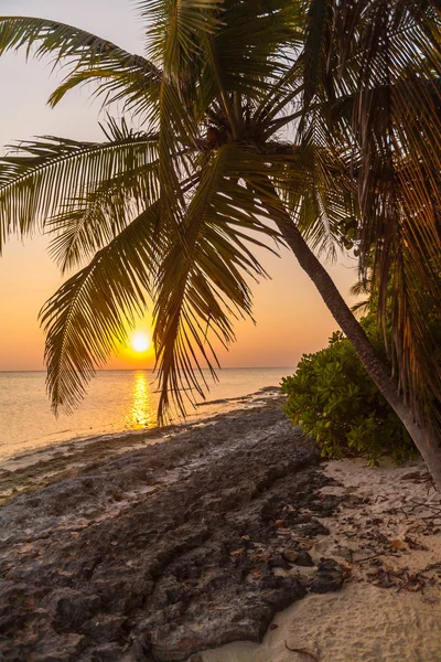 Romantic sunset on a desert island, Maldives — Stock Photo, Image