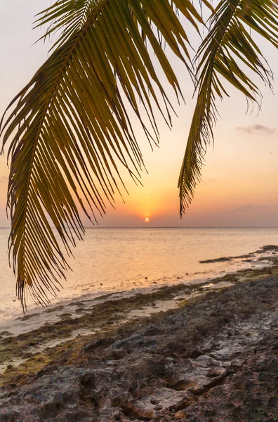 Pôr-do-sol romântico numa ilha deserta, Maldivas — Fotografia de Stock