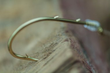 Pano portre içinde sıkışmış bir balıkçılık kanca