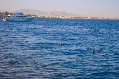 Güzel beyaz yat Kızıldeniz, Sharm el Sheikh, Mısır