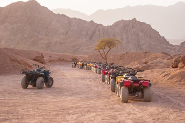 Çöl, Sharm el Sheikh, Mısır Safari'de dört motosiklet