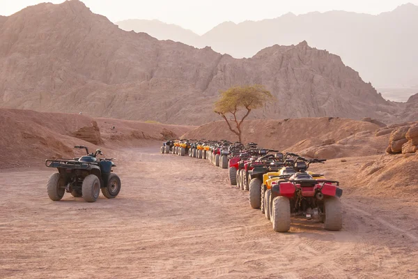 Quad motorbike safari in desert, Sharm el Sheikh, Egypt