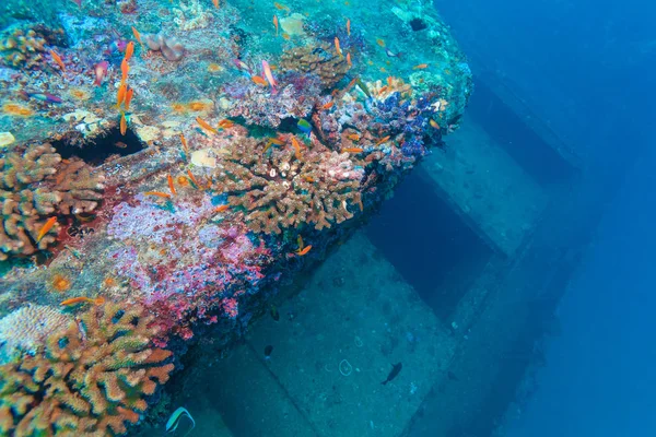 Shipwreck in Ocean Blue, Maldives — Stock Photo, Image