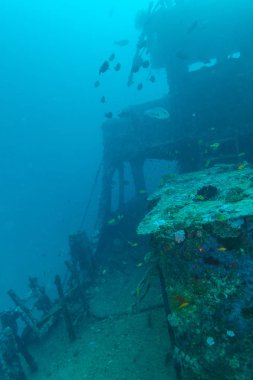 Okyanus mavisi kazasında, Maldivler