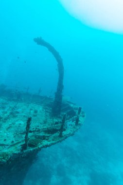 Okyanus mavisi kazasında, Maldivler