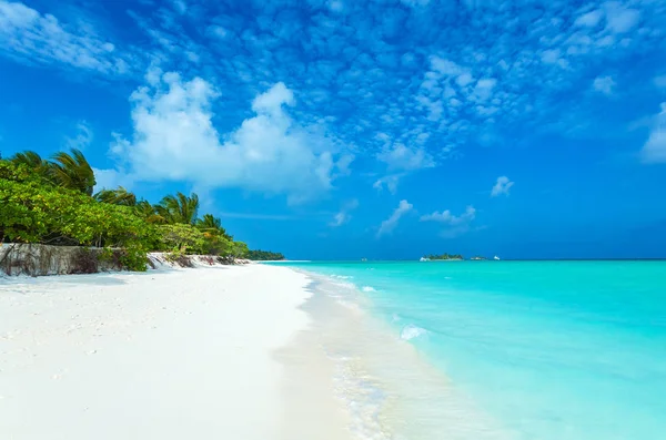 Fehér korall homokos strand, Maldív-szigetek — Stock Fotó