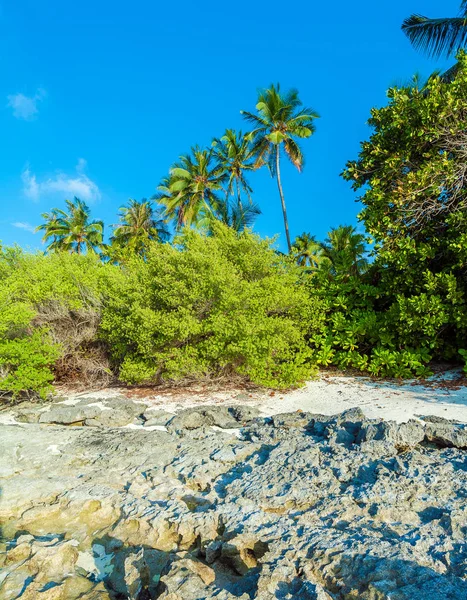 Rocky coast of a tropical island, Maldives — Stock Photo, Image