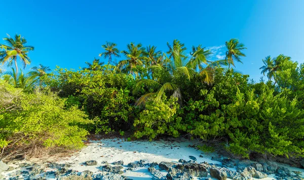 Skalnaté pobřeží z tropical island, Maledivy — Stock fotografie