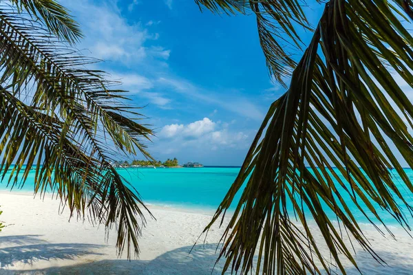 Strand durch Palmenblätter, die Malediven — Stockfoto