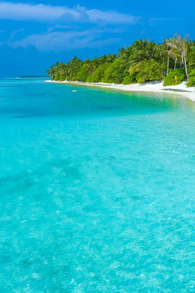 Strand, bewachsen mit Bäumen und Sträuchern, Malediven — Stockfoto