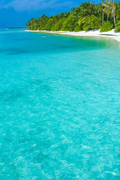 Strand, bewachsen mit Bäumen und Sträuchern, Malediven — Stockfoto