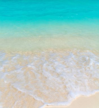 Tropical Beach yaz arka plan