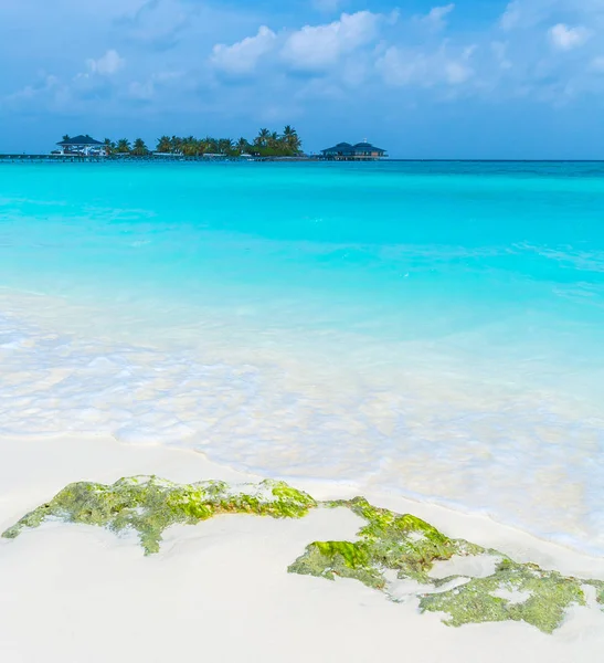 Weißer Korallensandstrand, Malediven — Stockfoto