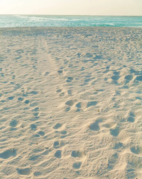 Costa de una isla tropical con arena al atardecer, Maldivas —  Fotos de Stock