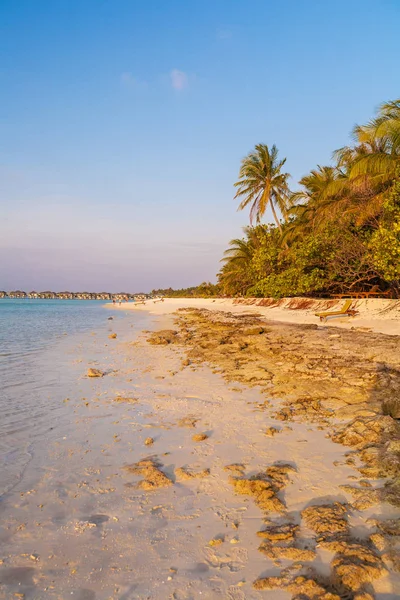 Costa de una isla tropical con arena al atardecer, Maldivas —  Fotos de Stock