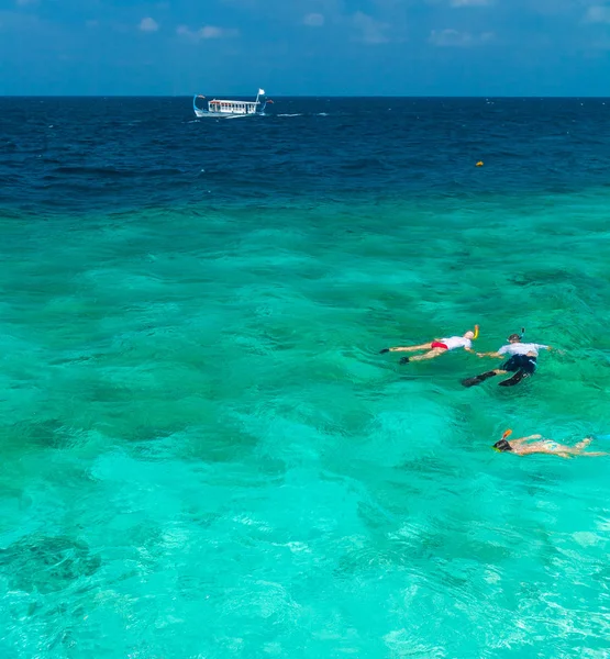 Tourists involved in snorkeling in shallow water near tropical i — Stock Photo, Image