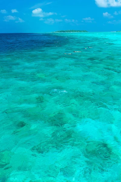 Turistas envolvidos em snorkeling em águas rasas perto de tropical i — Fotografia de Stock