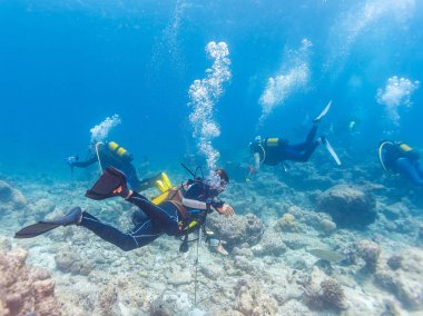 Kılavuzu, Maldivler sualtı tüplü dalgıçlar grup