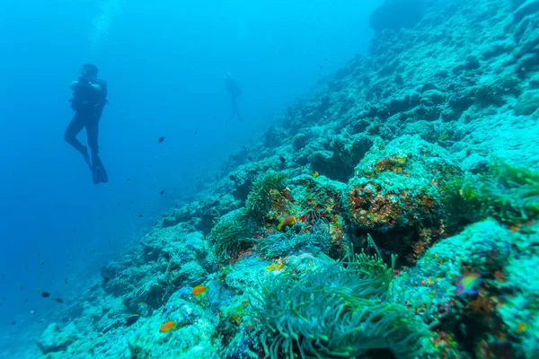 Onderwater scuba duikers en koraal muur, Maldiven — Stockfoto