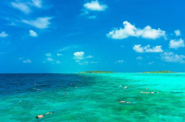 Turistler snorkeling, Maldivler yer