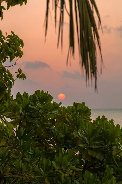 Pôr-do-sol romântico numa ilha deserta, Maldivas — Fotografia de Stock