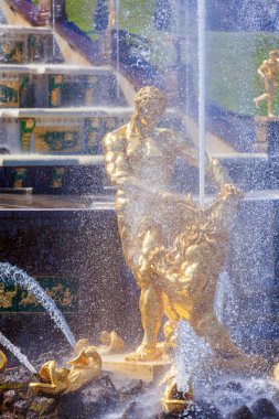 Saint Petersburg, Rusya Federasyonu - 27 Temmuz 2014: Turist yanında yürümek 